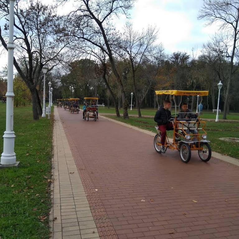 Apartman Buba Palić Εξωτερικό φωτογραφία