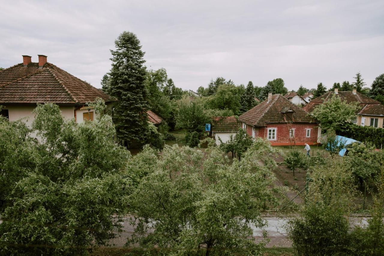 Apartman Buba Palić Εξωτερικό φωτογραφία